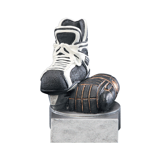 color-tek-series-hockey