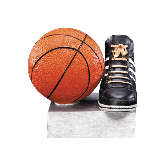 color-tek-series-basketball
