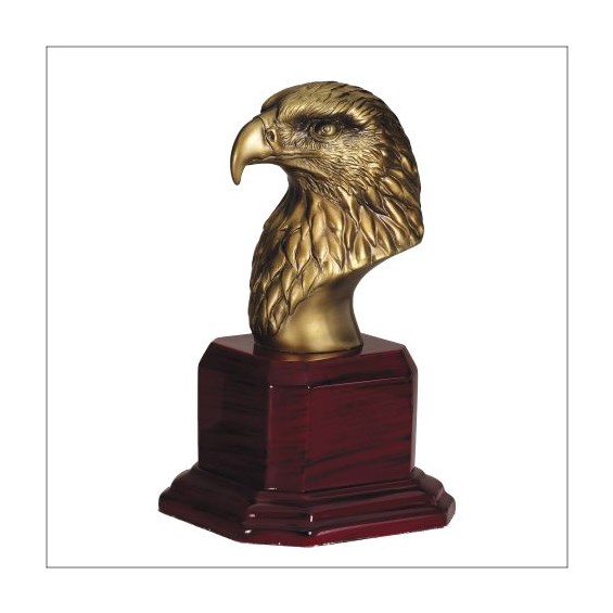 american-eagle-series-ae210