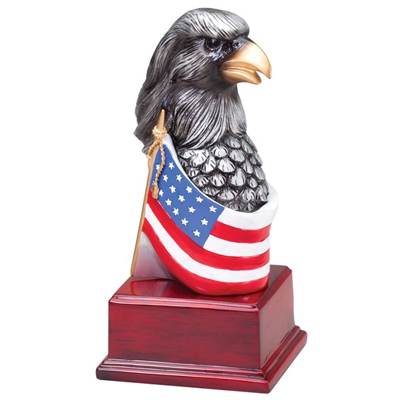 american-eagle-series-ae308
