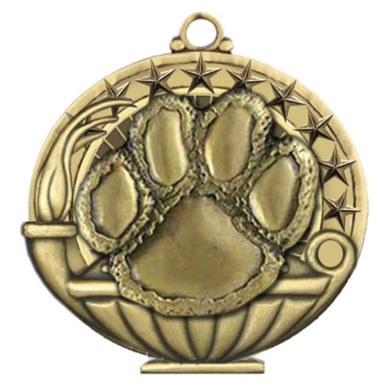 Academic Performance - PAW