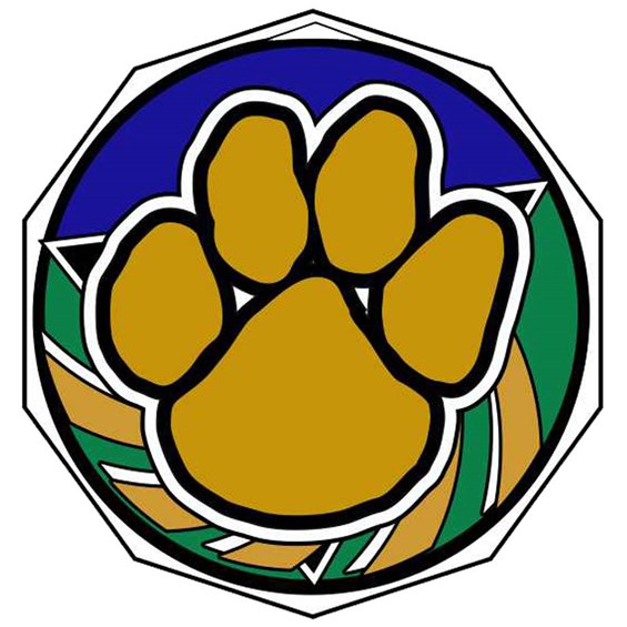 decagon-colored-series-paw