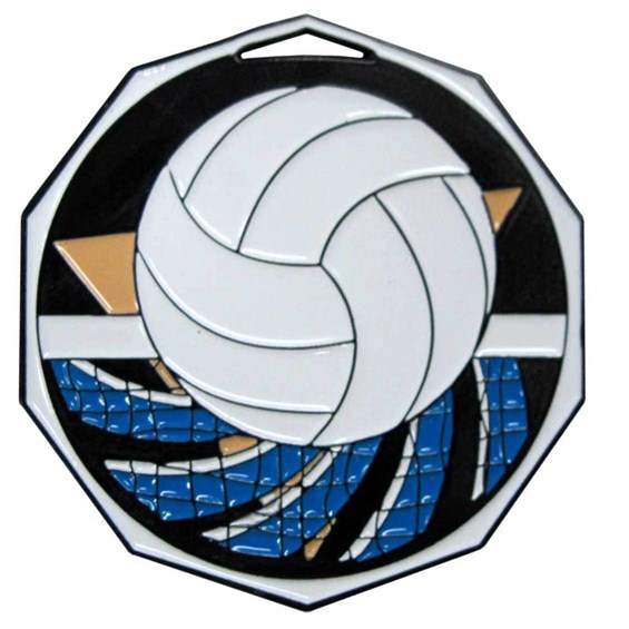 decagon-colored-series-volleyball