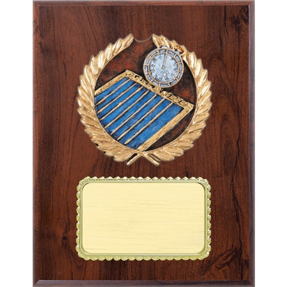 resin-plaque-series-swimming