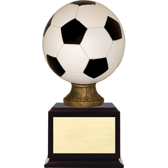 award-on-base-series-soccer-color