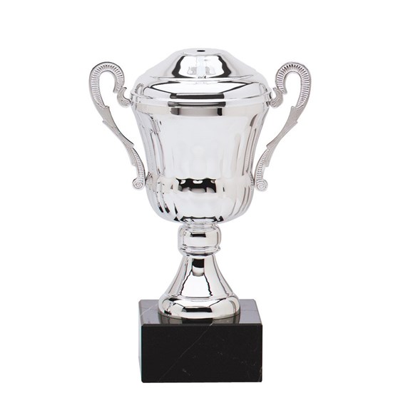 AMC0 Series Cup