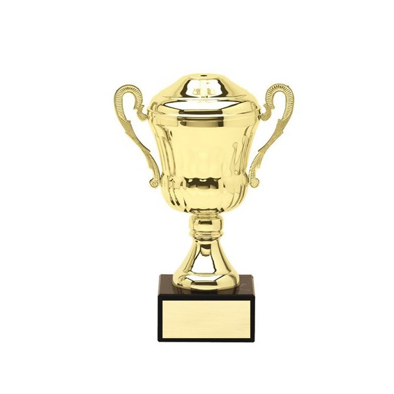 Amc1 Series Cup