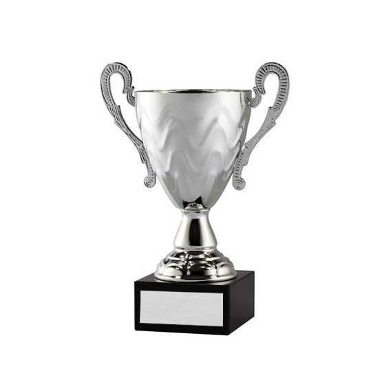 AMC10 Series Cup