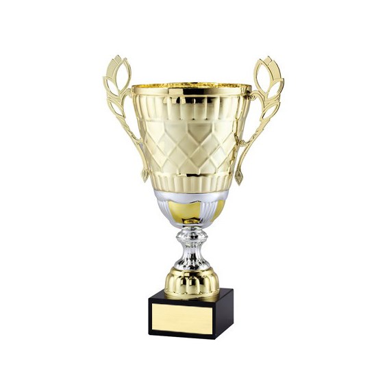 Amc21 Series Cup
