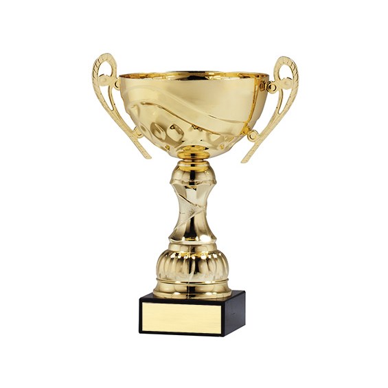 amc-55-series-cup