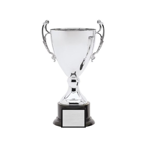 amc-6-series-cup