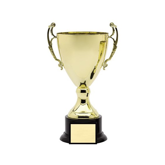 amc-7-series-cup