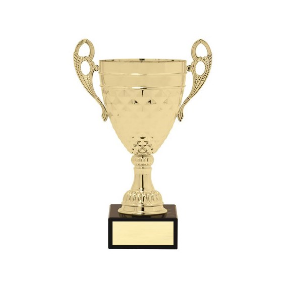 aw528-series-gold-cup