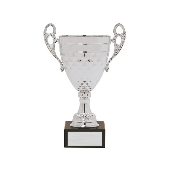 aw529-series-silver-cup
