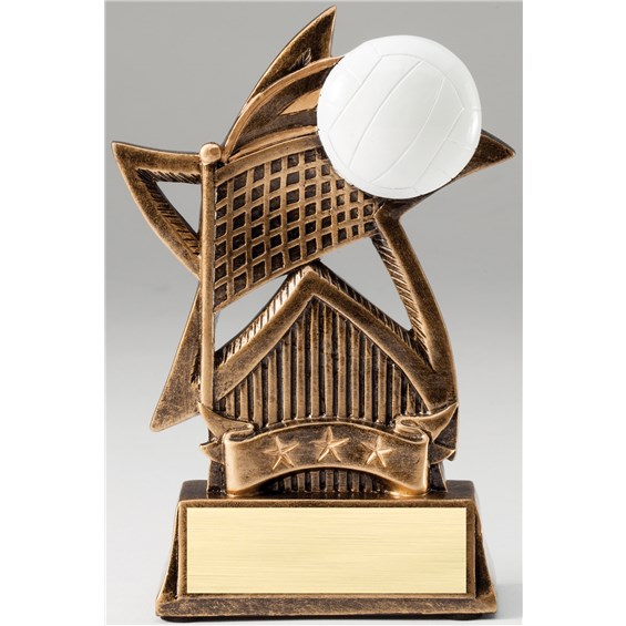 bronze-star-resin-series-volleyball