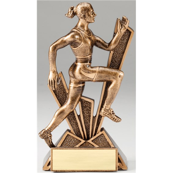 bronze-checkmate-resin-series-track-female