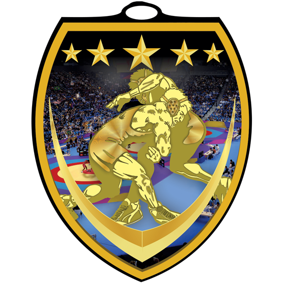 vsm_wrestling