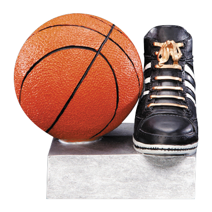 color-tek-series-basketball