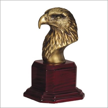american-eagle-series-ae210