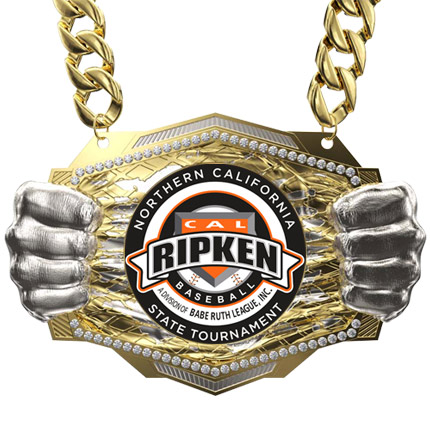 CCKO-KNOCKOUT-CHAIN
