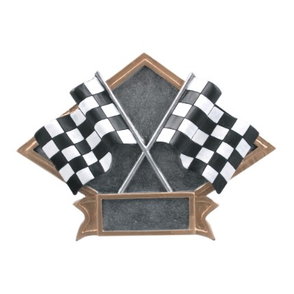 DPS20
