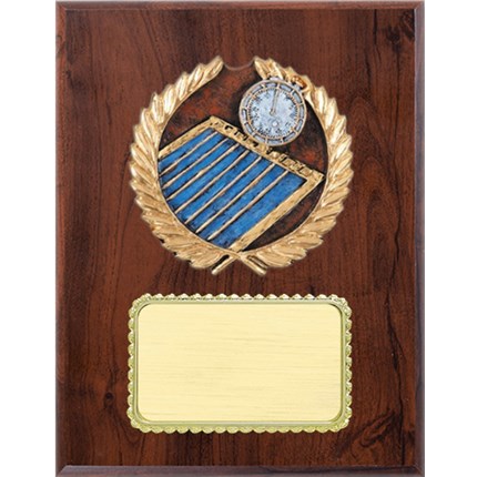 resin-plaque-series-swimming