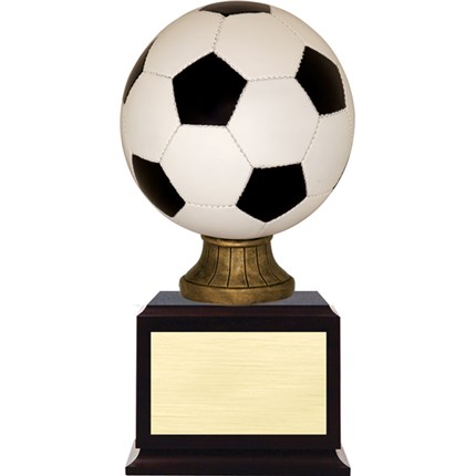 award-on-base-series-soccer-color