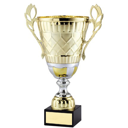 Amc21 Series Cup
