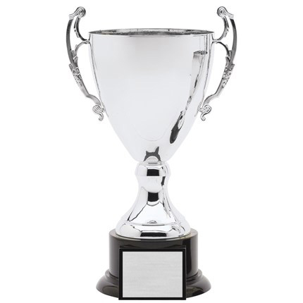 amc-6-series-cup