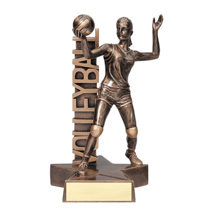 billboard-resin-series-volleyball-female