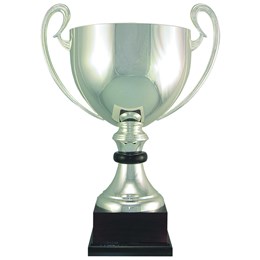 100-series-Italian-silver-cup