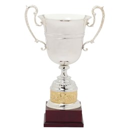 1444-series-Italian-silver-cup