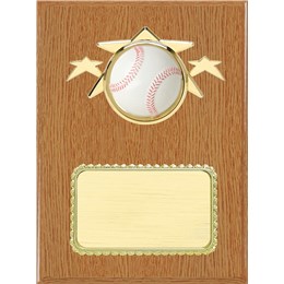 resin-plaque-series-baseball-light-wood