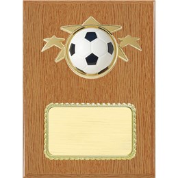 resin-plaque-series-soccer-wood