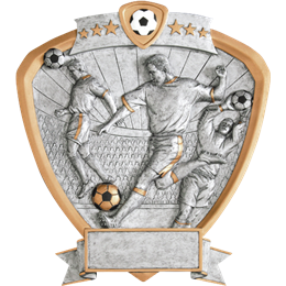 shield-series-soccer-male