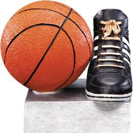color-tek-series-basketball