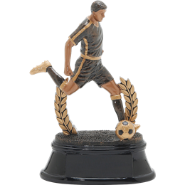 power-series-soccer-male