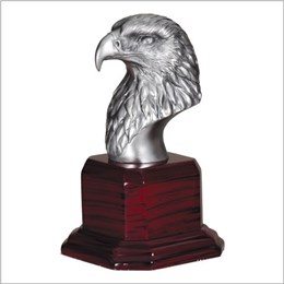 american-eagle-series-ae215