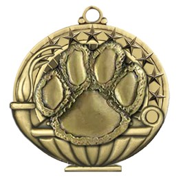 Academic Performance - PAW
