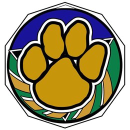 decagon-colored-series-paw