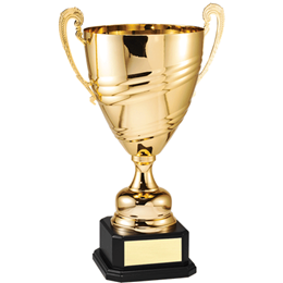 DTC5-Gold