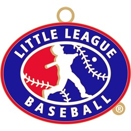 ll-medallion-series-baseball