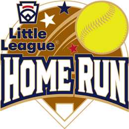 LLP286-Homerun-Softball