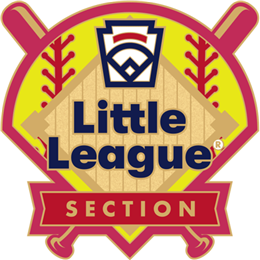 LLSB-LLP211-Section