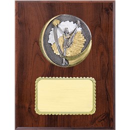 resin-plaque-series-cheer-explosion