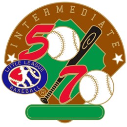 50/70 Intermediate Baseball Pin Series