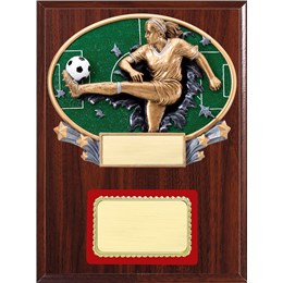resin-plaque-series-soccer-f