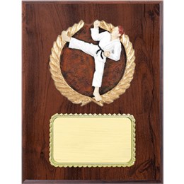 resin-plaque-series-karate