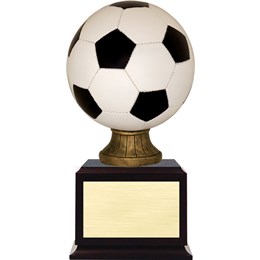 award-on-base-series-soccer-color