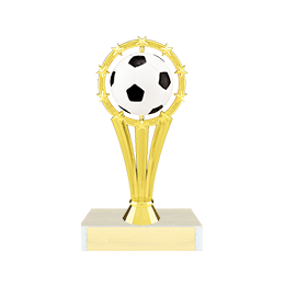 SPN204-Soccer